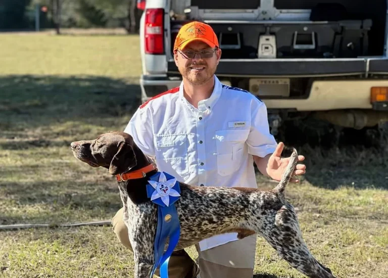 Versatile Hunting Dogs