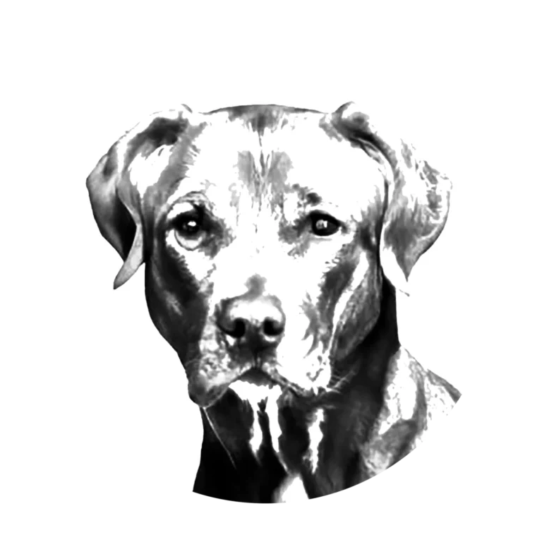 Versatile Hunting Dogs