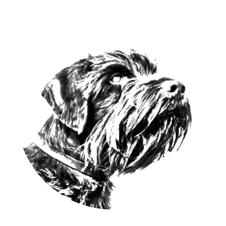 Versatile Hunting Dogs
