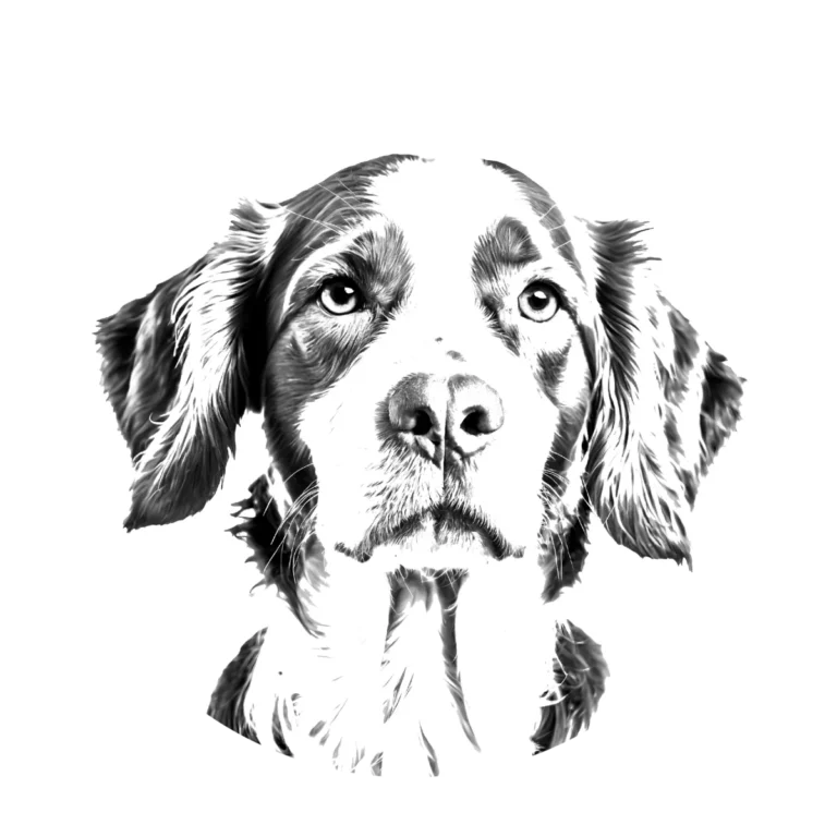 Versatile Hunting Dogs